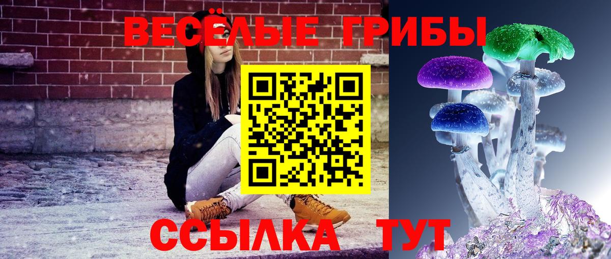 Копейск  Псилоцибиновые грибы ЛСД  наркота  Вход с VPN  Псилоцибиновые грибы Psilocybine cubensis 