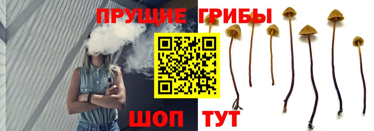 Псилоцибиновые грибы Magic Shrooms Копейск